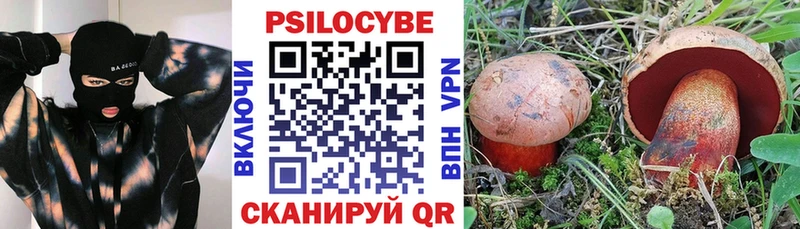 Псилоцибиновые грибы Psilocybine cubensis  хочу   Тарко-Сале 